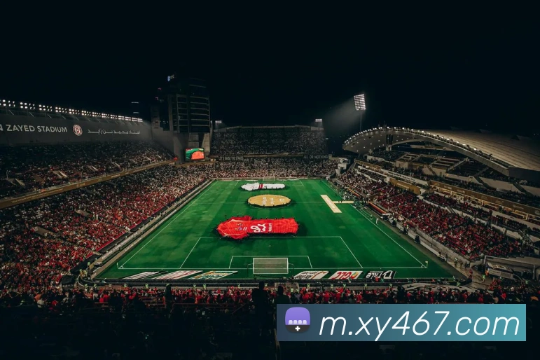 幸运彩票xycp平台生态图